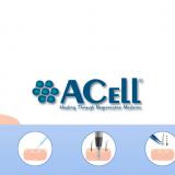 ACell for Hair Restoration And Hair Duplication